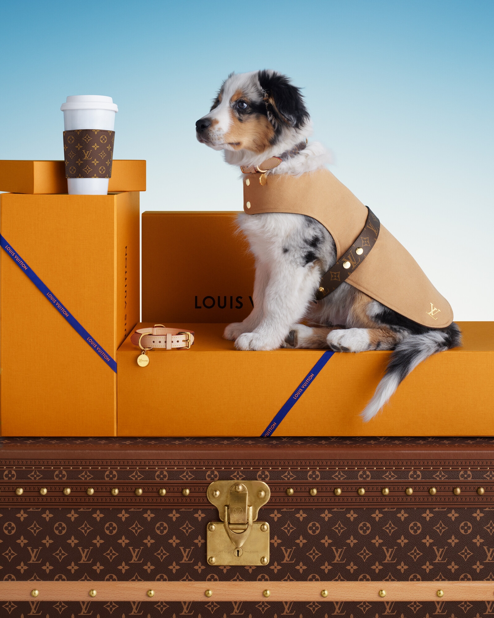 Luxury Pet Gifts & Designer Pet Items | LOUIS VUITTON ®