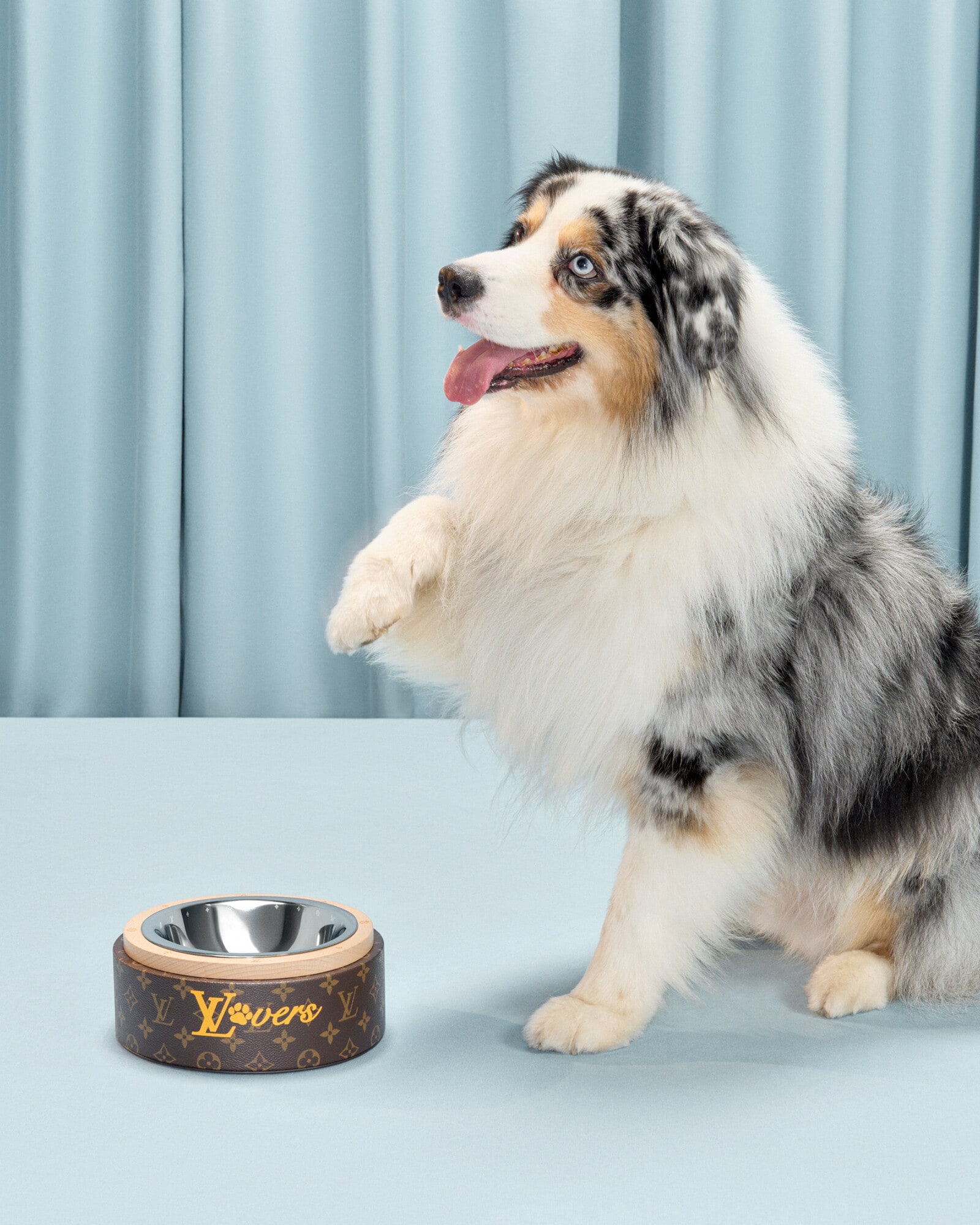 Dog Accessories Pets Accessories Pets Accessories | LOUIS VUITTON