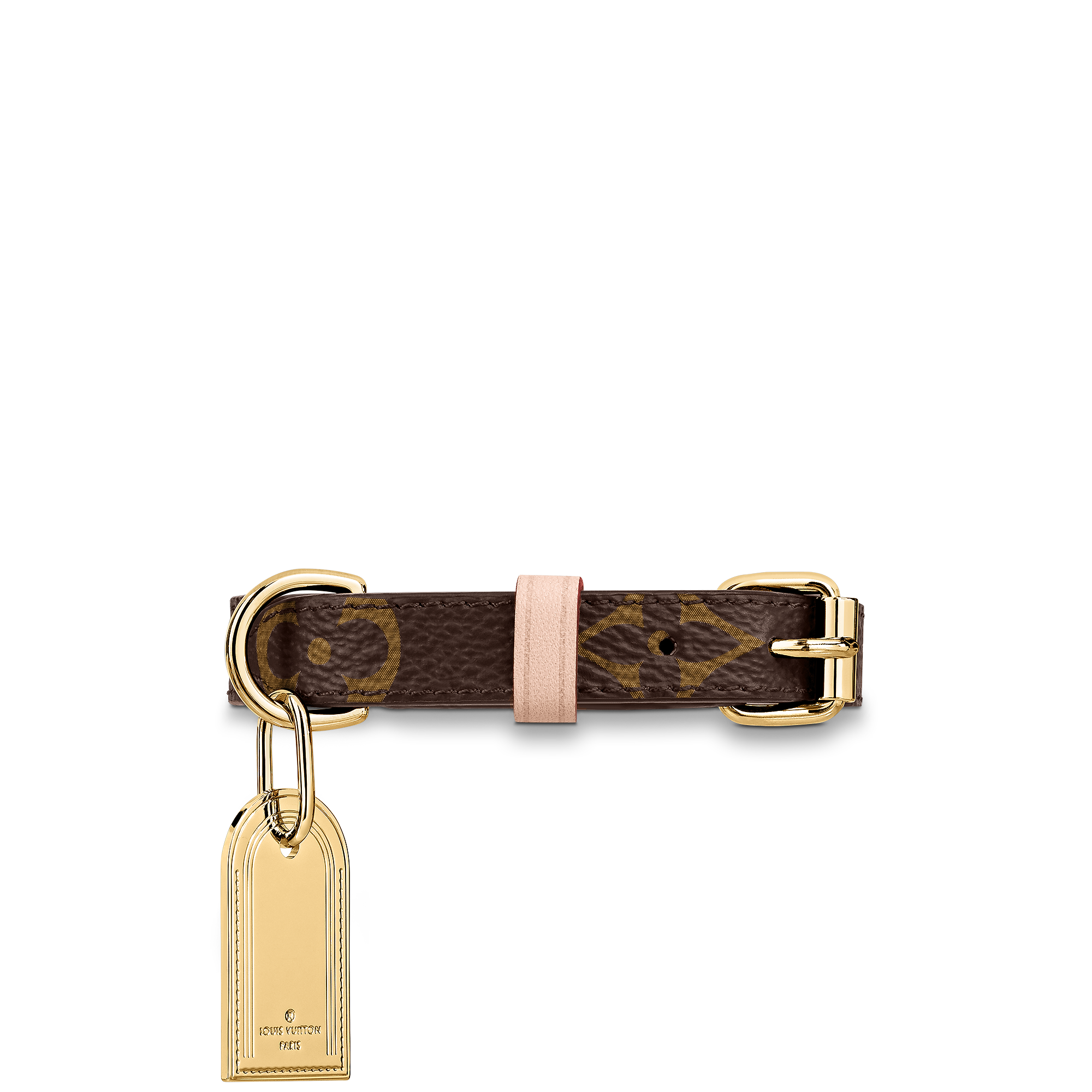 baxter dog collar gm