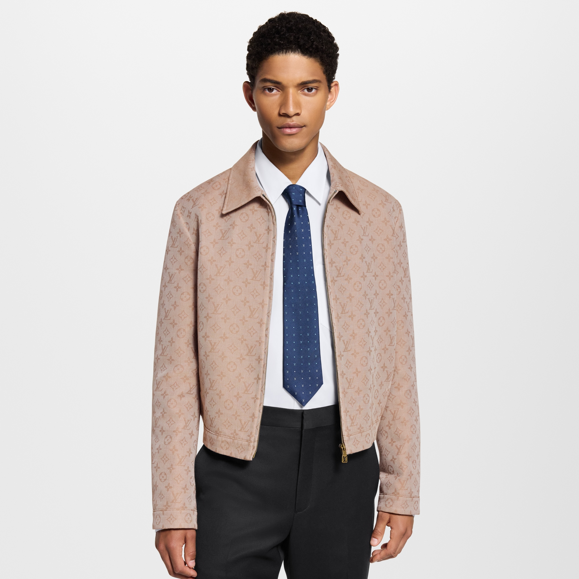 S00 Accessories Ties and Pocket Squares Blason Dots Tie | Louis Vuitton ® (Product zoom)