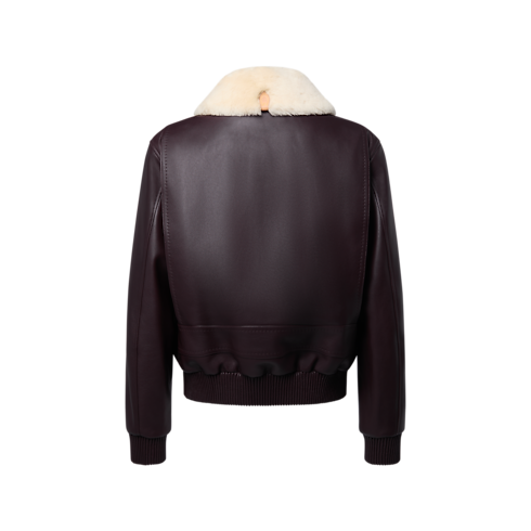 Prêt-à-Porter Tout le Prêt-à-Porter Blouson en cuir à col en shearling | Louis Vuitton ® (Zoom produit)