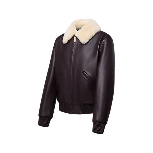 Prêt-à-Porter Tout le Prêt-à-Porter Blouson en cuir à col en shearling | Louis Vuitton ® (Zoom produit)