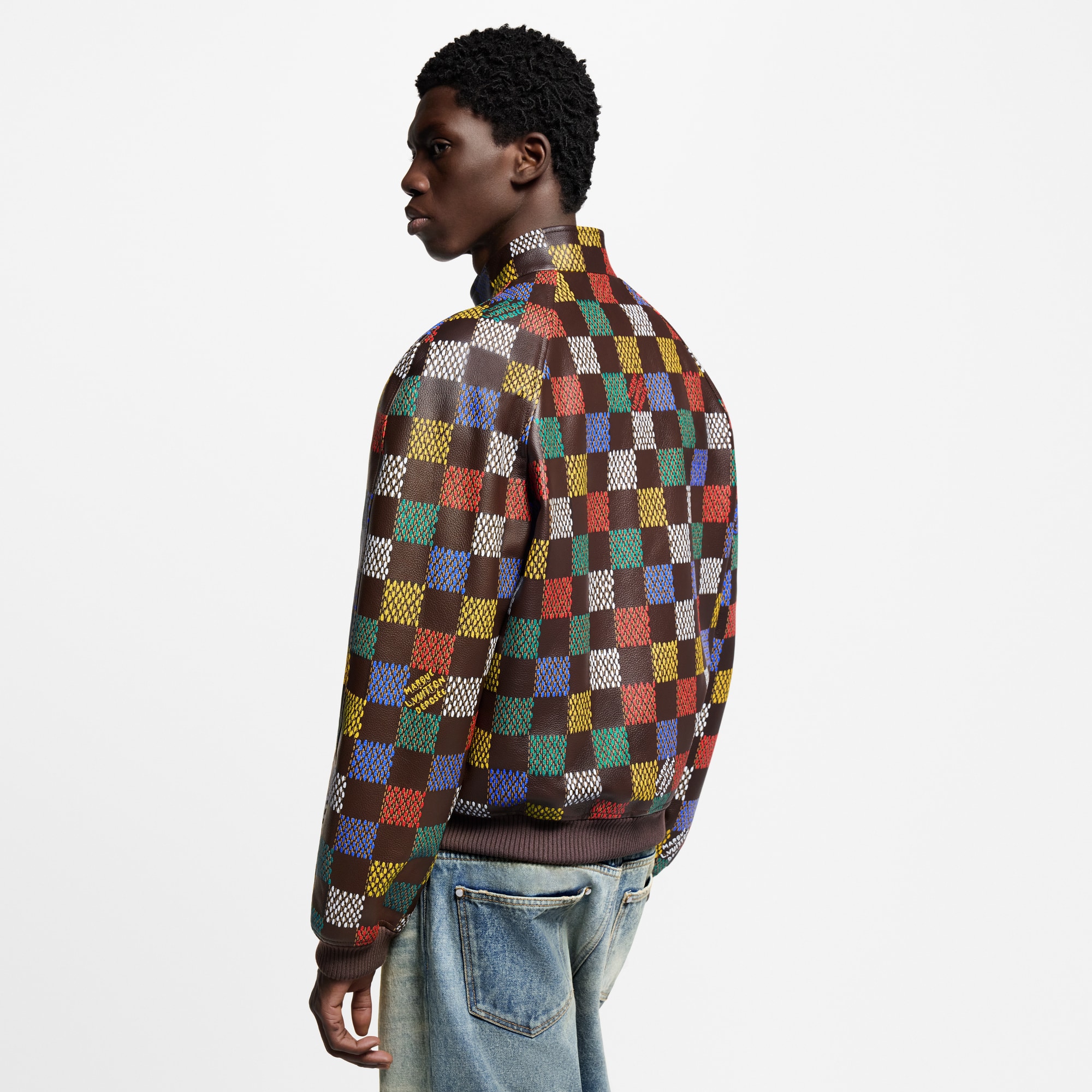  Ready-to-Wear Coats and Outerwear Damier Leather Blouson  | Louis Vuitton ® (Product zoom)