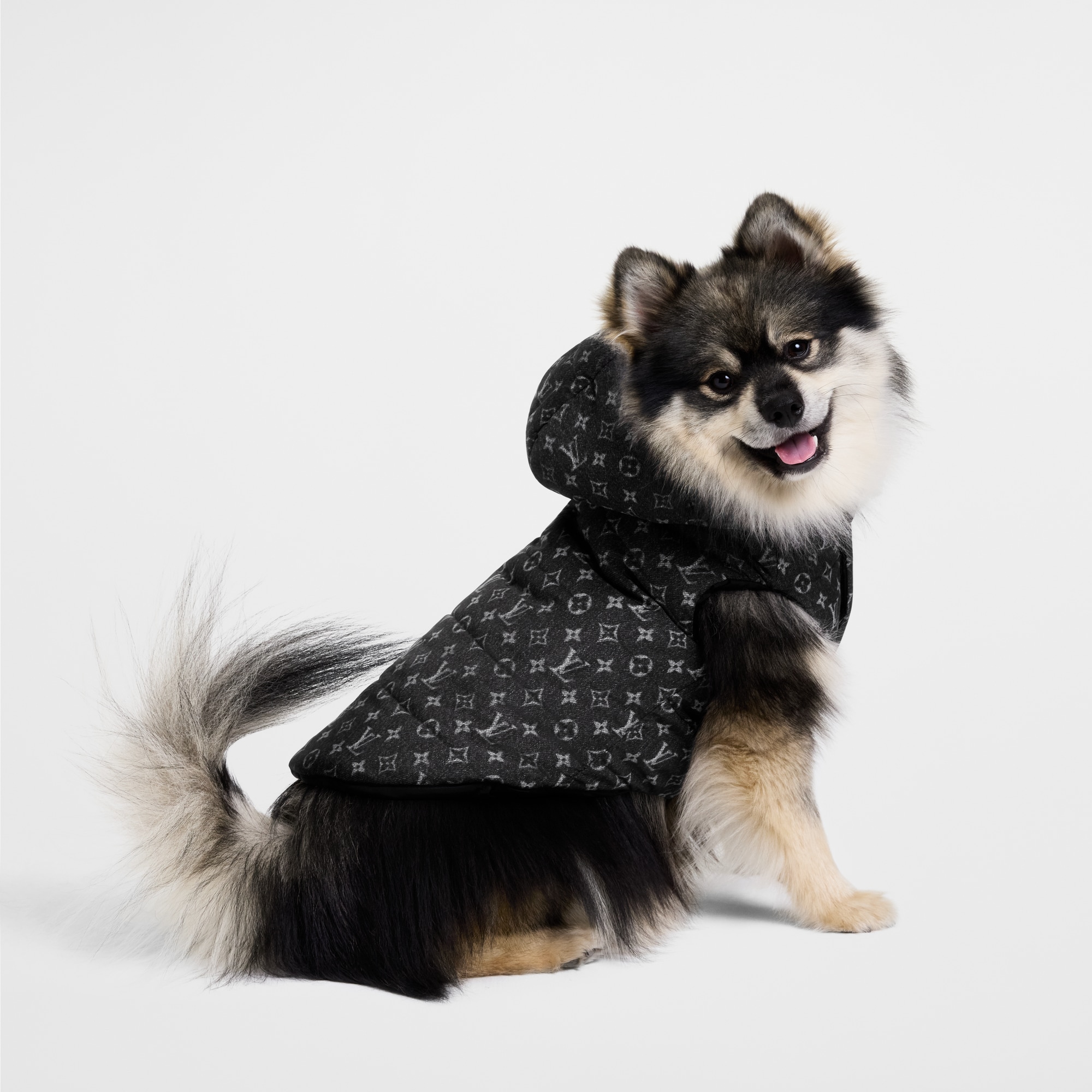 S00 Accessoires pour Animaux } Doudoune pour chien PM | Louis Vuitton ® (Zoom produit)