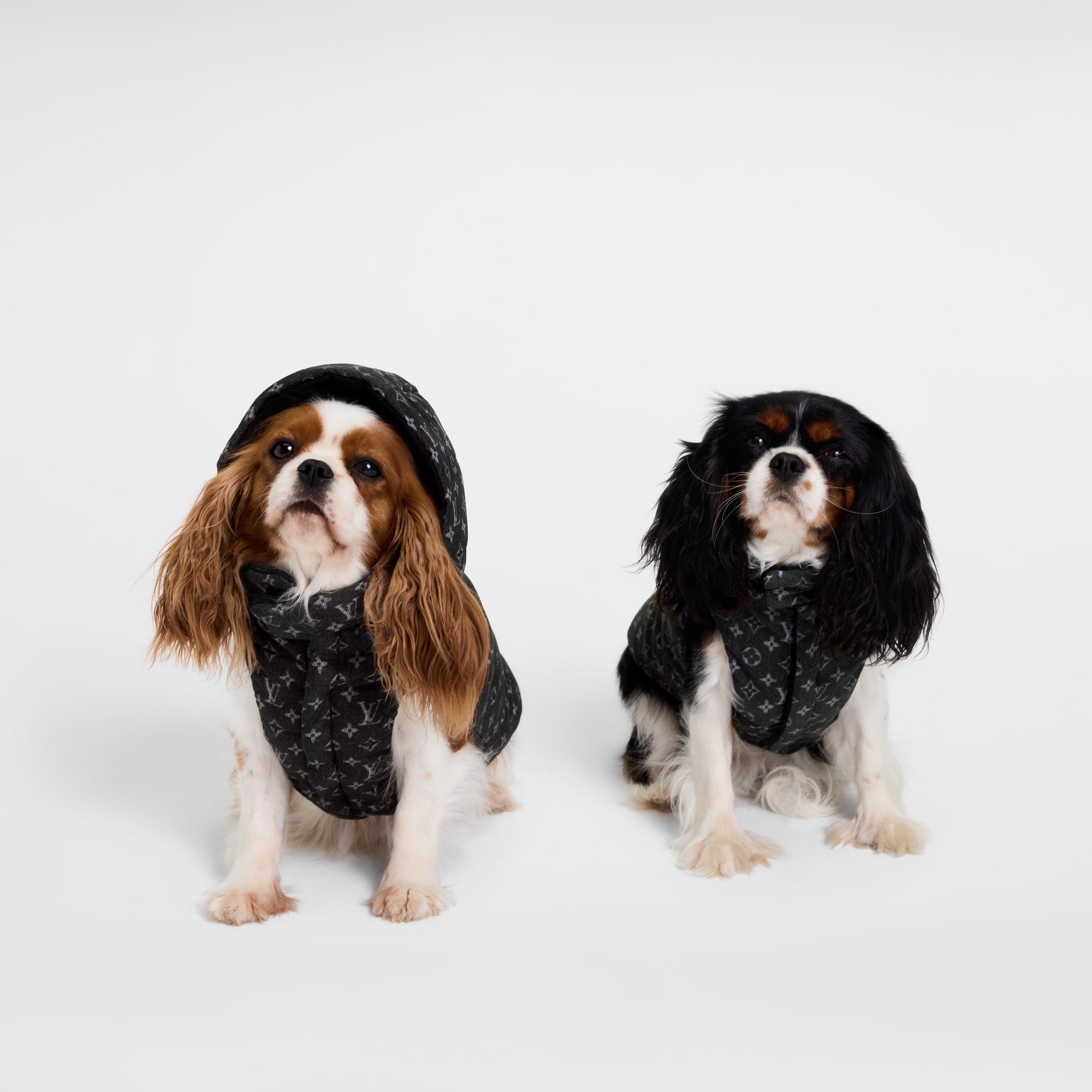 S00 Accessoires pour Animaux } Doudoune pour chien XS | Louis Vuitton ® (Zoom produit)