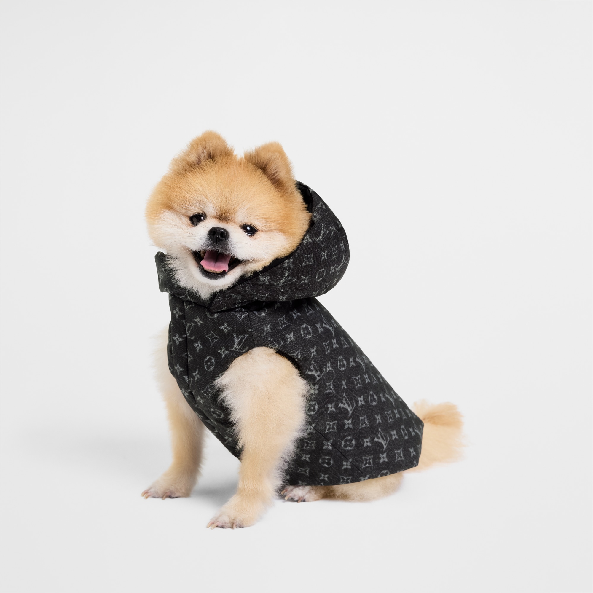 S00 Accessoires pour Animaux } Doudoune pour chien XS | Louis Vuitton ® (Zoom produit)