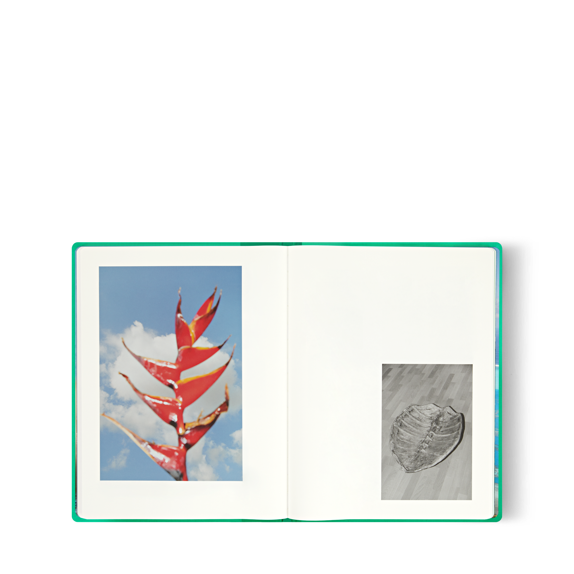  Livres Fashion Eye Fashion Eye Tahiti par Jonathan Llense | Louis Vuitton ® (Zoom produit)