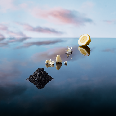 Collections Parfums Masculins Flacon de Voyage - Parfum Imagination | Louis Vuitton ® (Zoom produit)