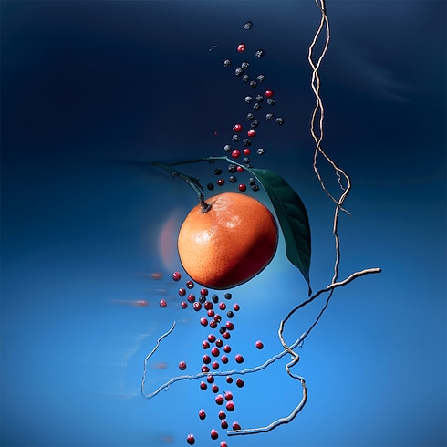 Collections Voyage Flacon de Voyage - Parfum Météore | Louis Vuitton ® (Zoom produit)