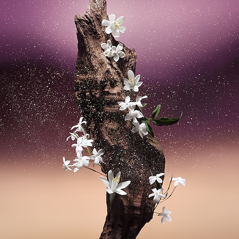 Collections Masculine Perfumes Fleur du Désert | Louis Vuitton ® (Product zoom)