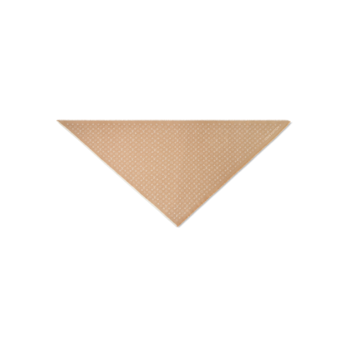 S00 Accessoires Carrés de Soie et Bandeaux Foulard triangle Neo Favorite | Louis Vuitton ® (Zoom produit)