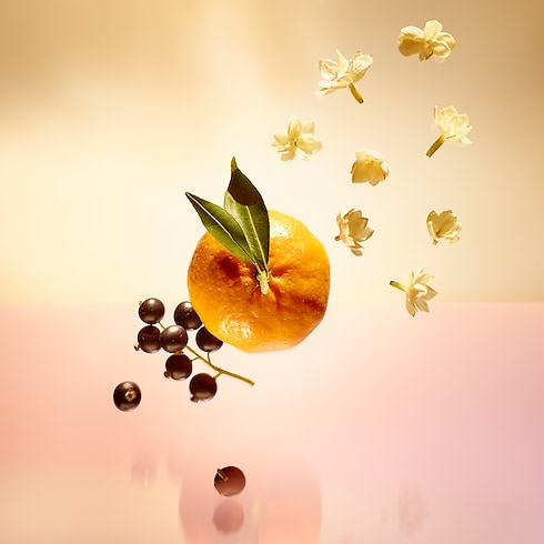 Collections Feminine Perfumes Le Jour Se Lève | Louis Vuitton ® (Product zoom)