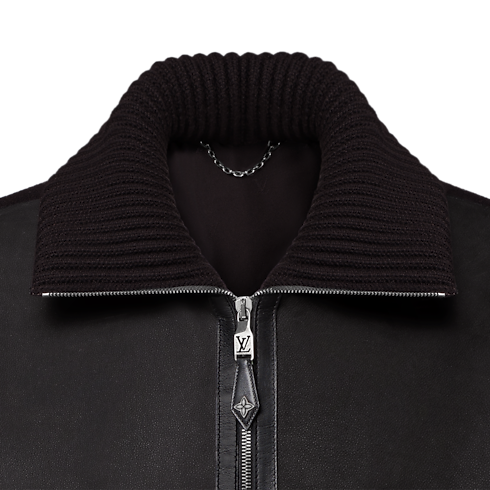 Prêt-à-Porter Tout le Prêt-à-Porter Leather Mix Blouson | Louis Vuitton ® (Zoom produit)