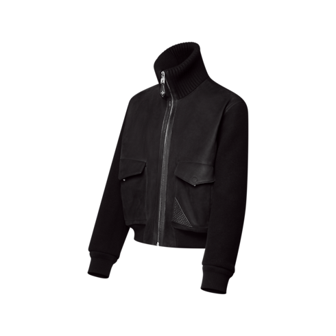 Prêt-à-Porter Tout le Prêt-à-Porter Leather Mix Blouson | Louis Vuitton ® (Zoom produit)