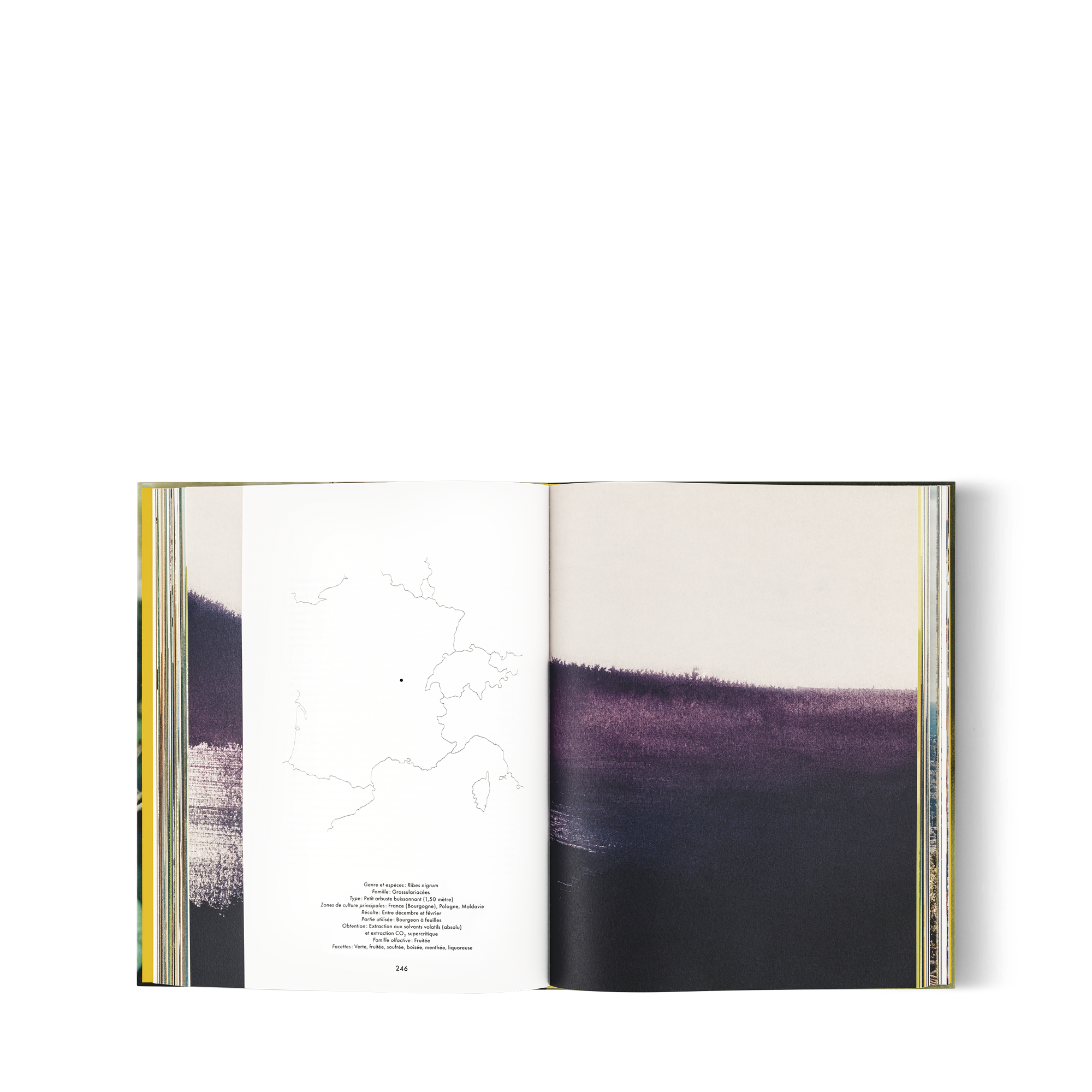  Livres Beaux Livres Louis Vuitton : Atlas des parfums, version française | Louis Vuitton ® (Zoom produit)