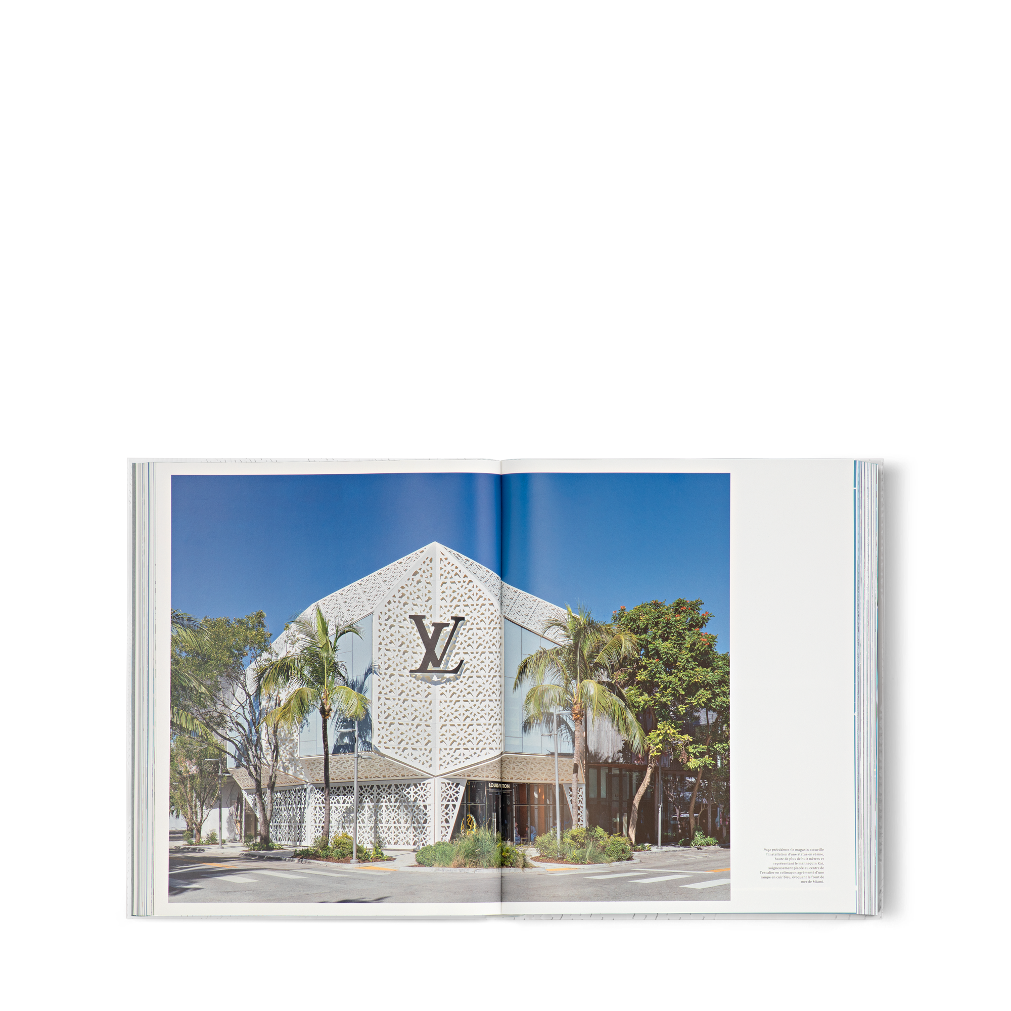 Livres Beaux Livres Louis Vuitton Skin : Architecture of Luxury (Beijing) | Louis Vuitton ® (Zoom produit)