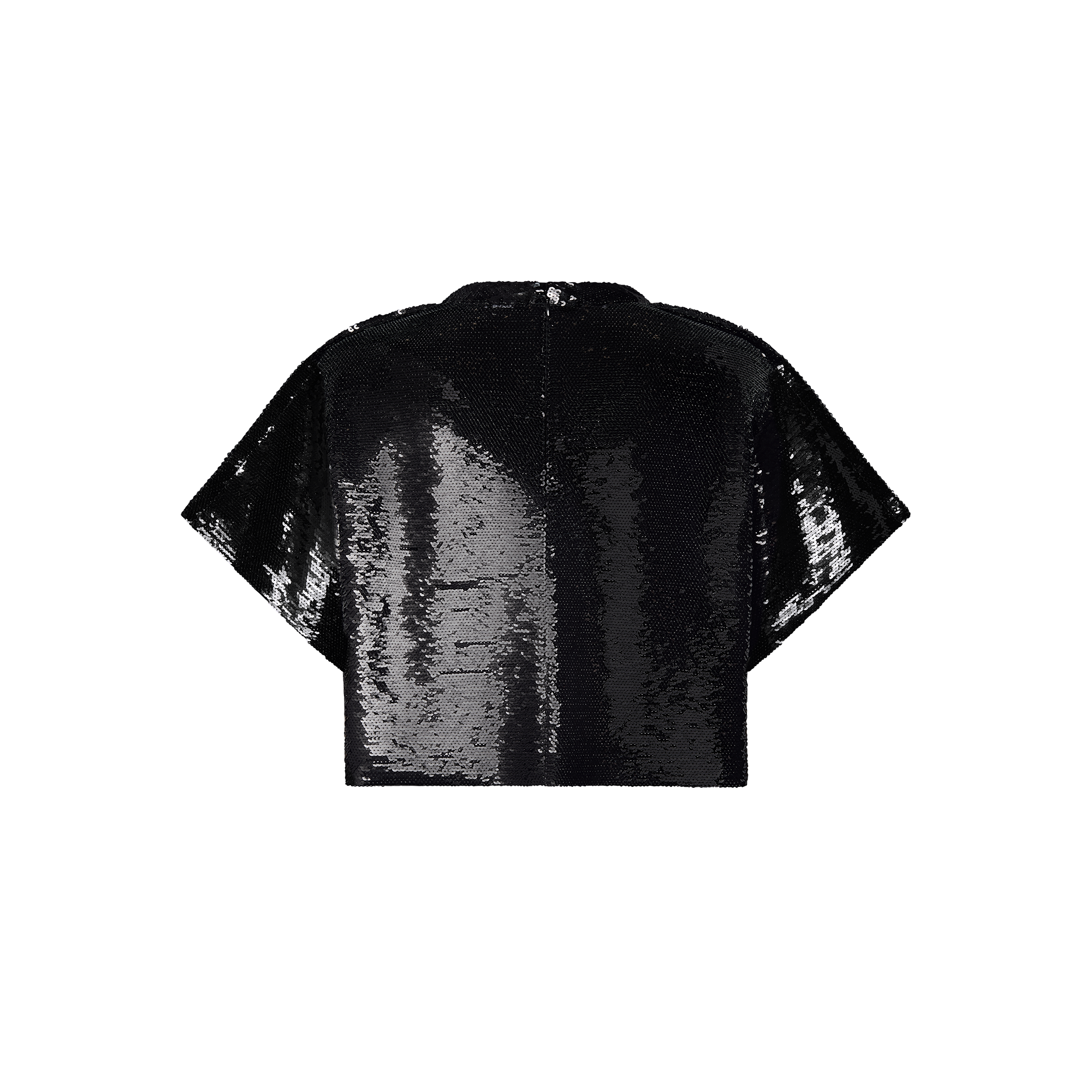 sequin crop top