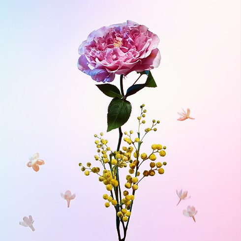 Collections Voyage Parfum Heures d'Absence | Louis Vuitton ® (Zoom produit)