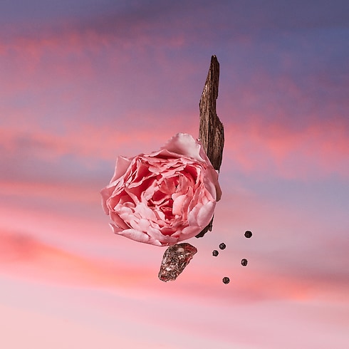 Collections Parfums Masculins Parfum Les Sables Roses | Louis Vuitton ® (Zoom produit)