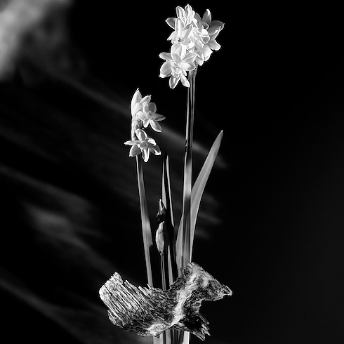 Collections Parfums Féminins Parfum Matière Noire | Louis Vuitton ® (Zoom produit)