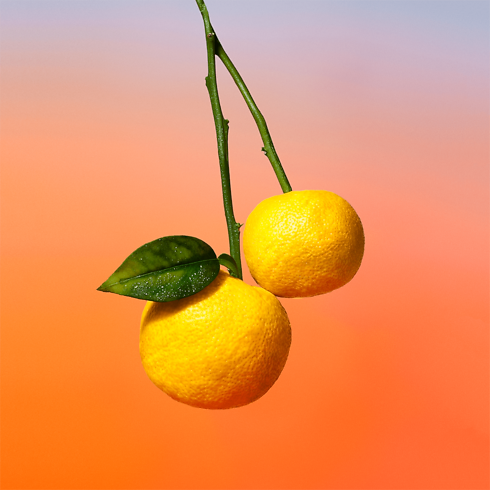 Collections Parfums Masculins Parfum On the Beach | Louis Vuitton ® (Zoom produit)