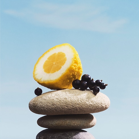 Tous Les Parfums } Parfum Pacific Chill | Louis Vuitton ® (Zoom produit)