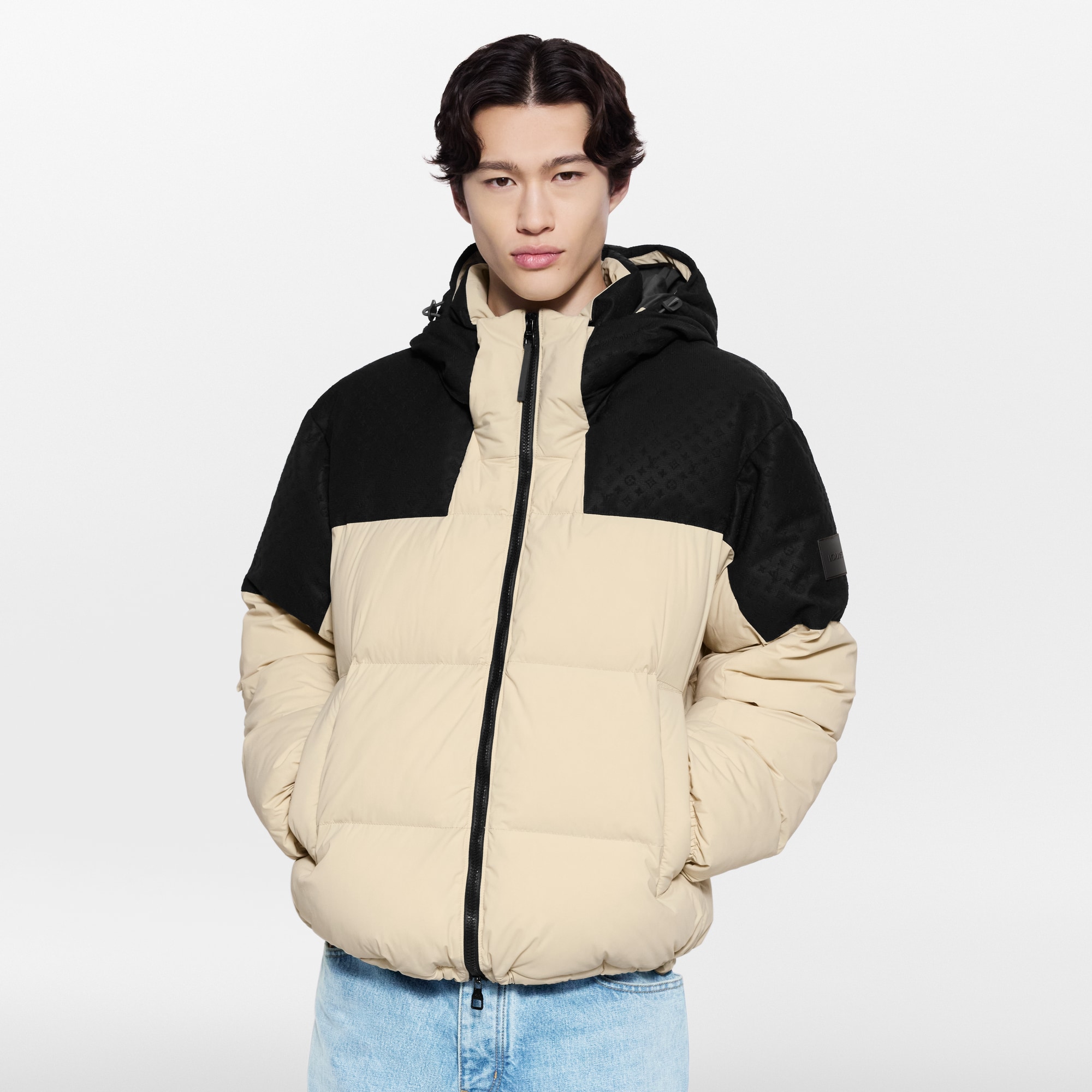 Ready-to-Wear Coats and Outerwear Placed Monogram Ecodown Blouson | Louis Vuitton ® (Product zoom)