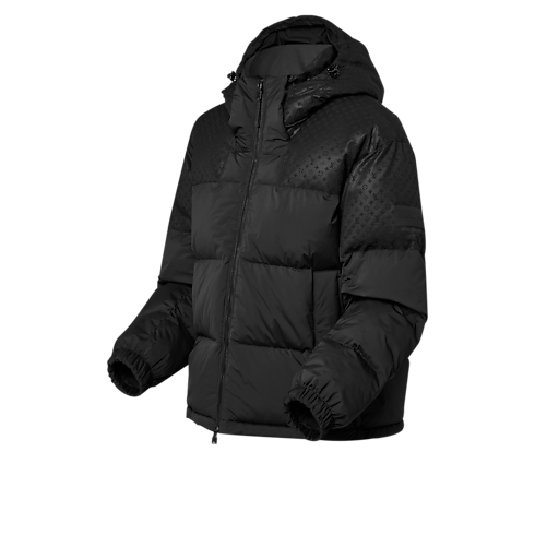 Ready-to-Wear Coats and Outerwear Placed Monogram Ecodown Blouson | Louis Vuitton ® (Product zoom)