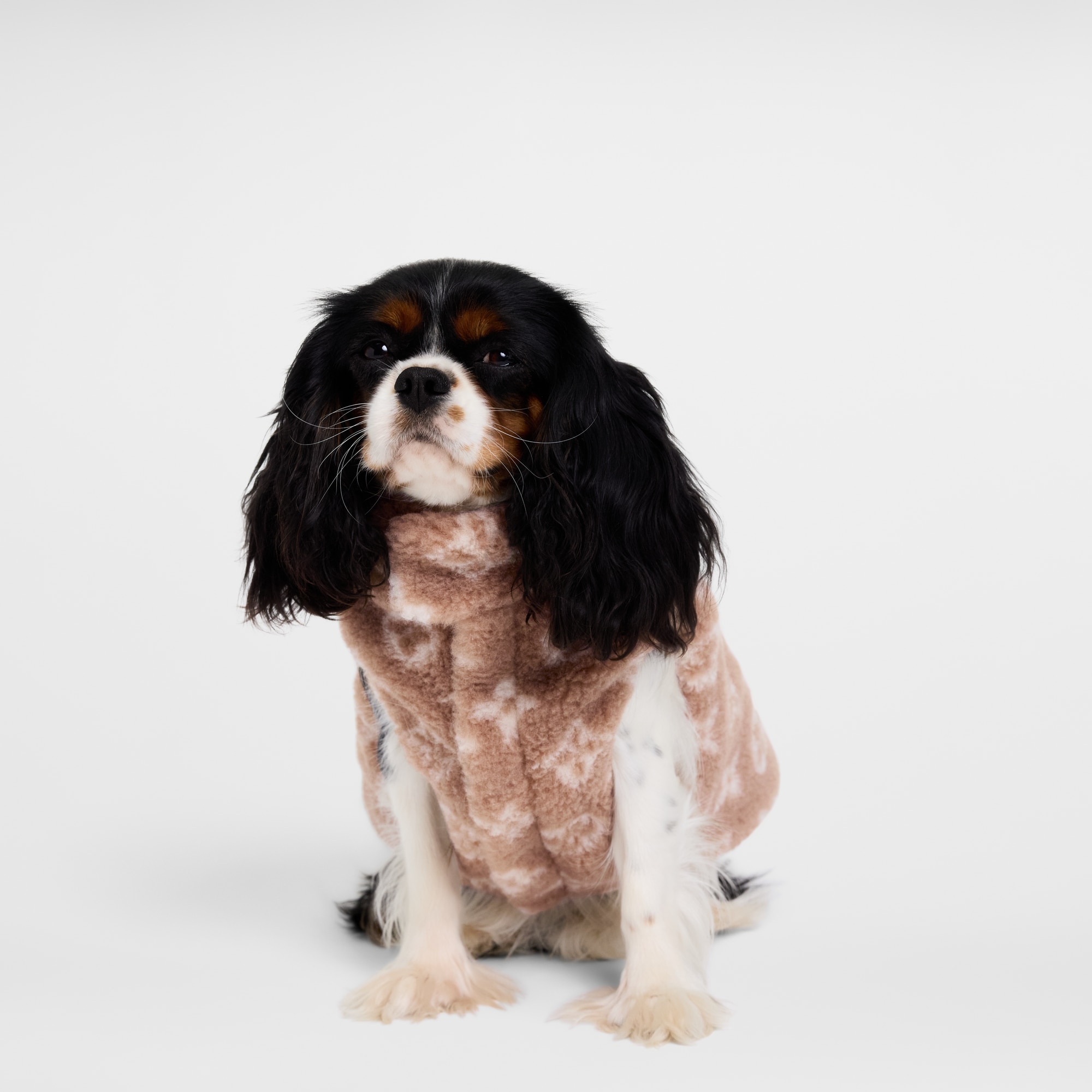 S00 Accessoires pour Animaux } Polaire pour chien PM | Louis Vuitton ® (Zoom produit)