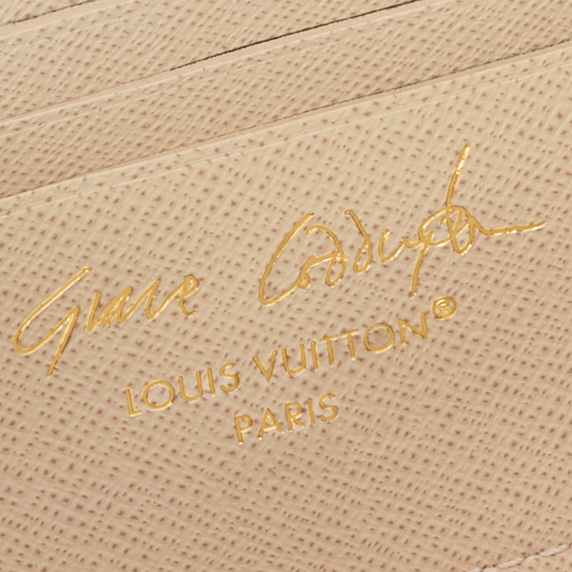 Monogram Petite Maroquinerie Portefeuilles sur Chaîne et Micro Sac Portefeuille chaîne Ivy | Louis Vuitton ® (Zoom produit)