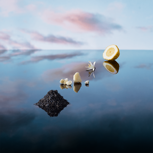 Collections Voyage Recharges de Flacon de Voyage - Parfum Imagination | Louis Vuitton ® (Zoom produit)