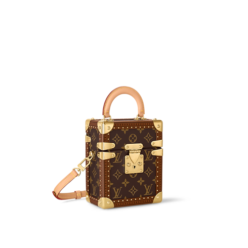 Toile Monogram Highlights Sélection Art de Vivre Sac Camera Box | Louis Vuitton ® (Zoom produit)