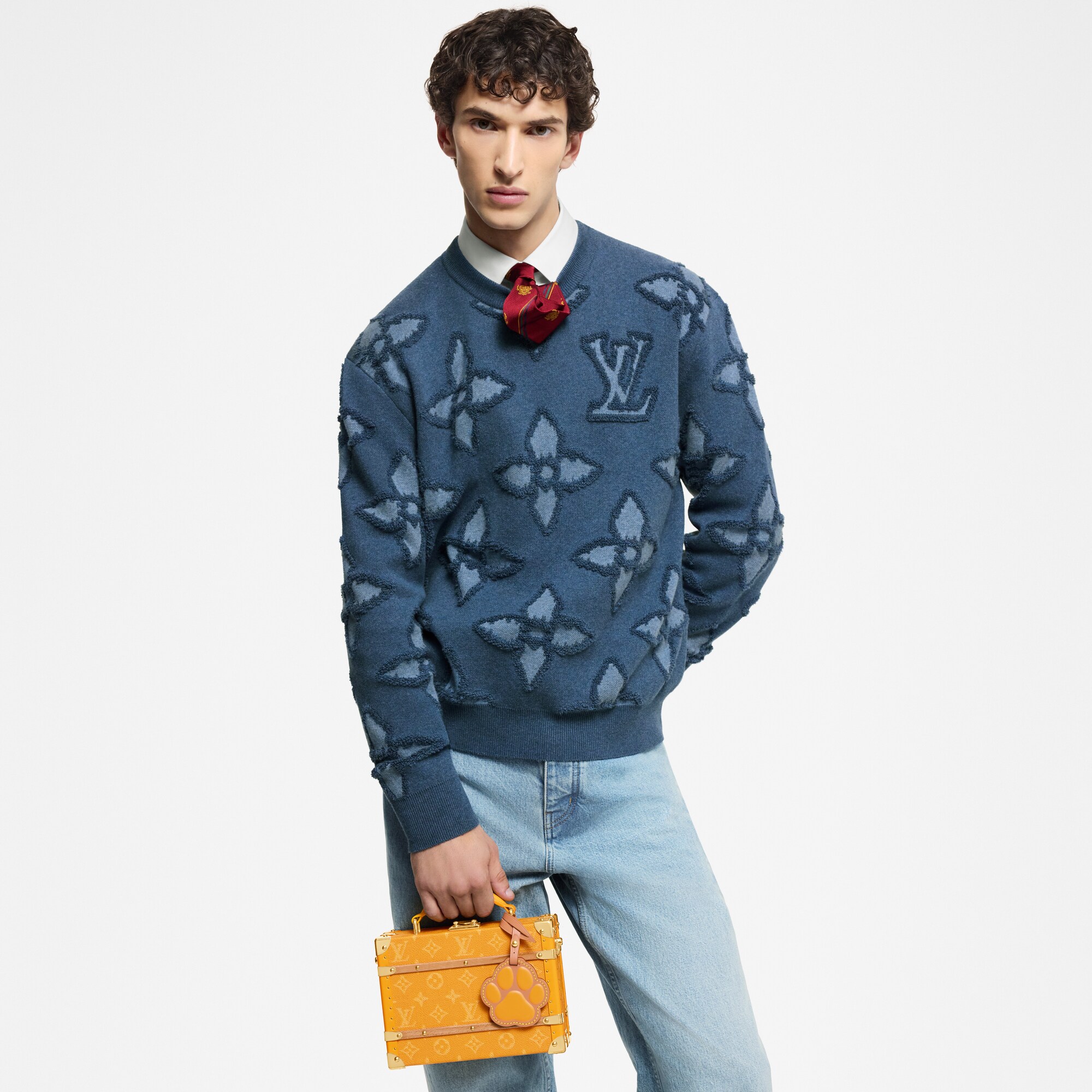 Autres Toiles Monogram Malles et Coffrets Wearable Trunks Sac Handle Trunk | Louis Vuitton ® (Zoom produit)