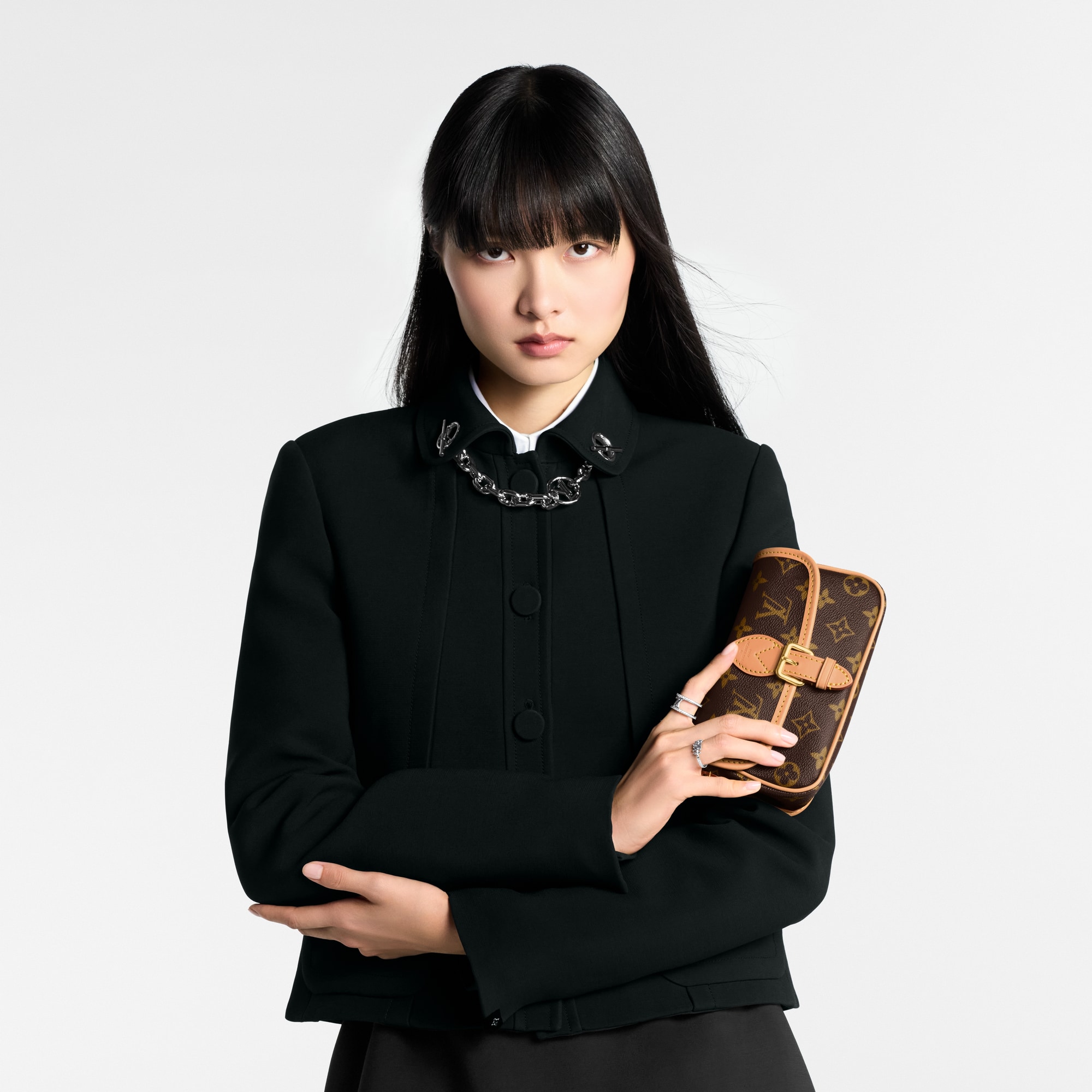 Monogram Petite Maroquinerie Portefeuilles sur Chaîne et Micro Sac Sac Nano Diane | Louis Vuitton ® (Zoom produit)