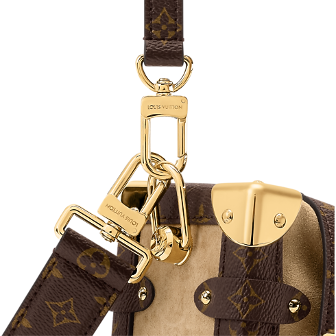 Sacs à Main Toutes Nos Collections Sac Side Trunk MM | Louis Vuitton ® (Zoom produit)