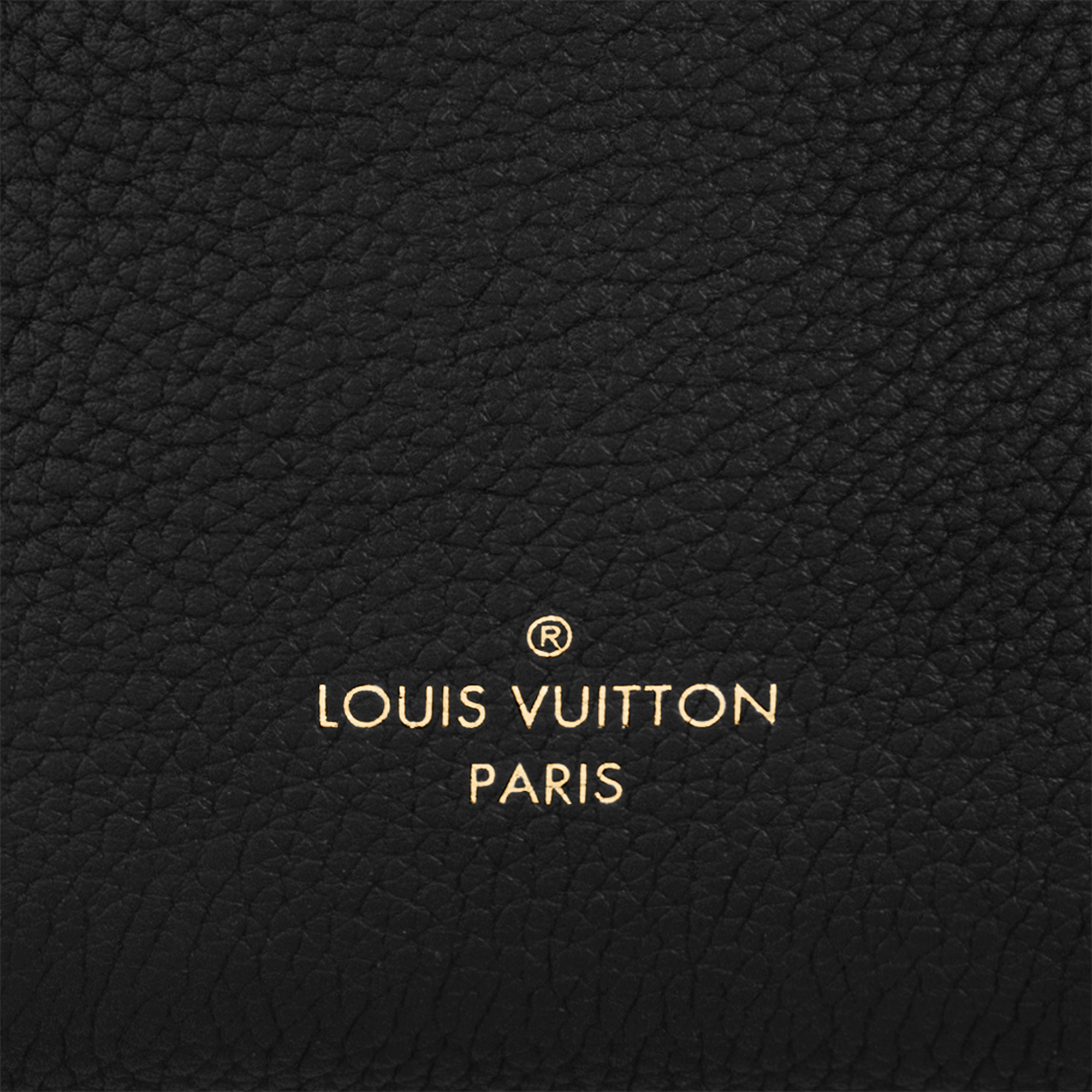 H27 Sacs à Main All Collections Sac Side Trunk PM | Louis Vuitton ® (Zoom produit)