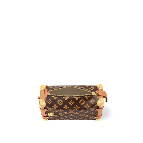 Other Monogram Canvas Women's Bags LV Icons Side Trunk MM | Louis Vuitton ® (Product zoom)