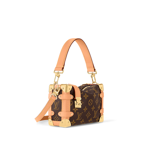 Monogram Handbags All Collections Side Trunk PM | Louis Vuitton ® (Product zoom)