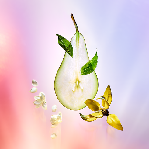 Collections Travel Travel Spray Coeur Battant | Louis Vuitton ® (Product zoom)