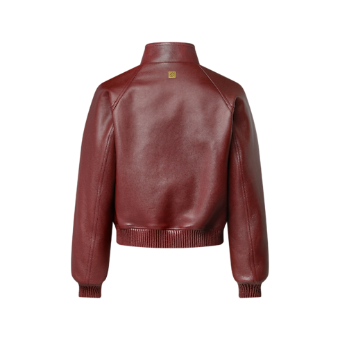 Prêt-à-Porter Manteaux et Blousons Veste en cuir grainé | Louis Vuitton ® (Zoom produit)