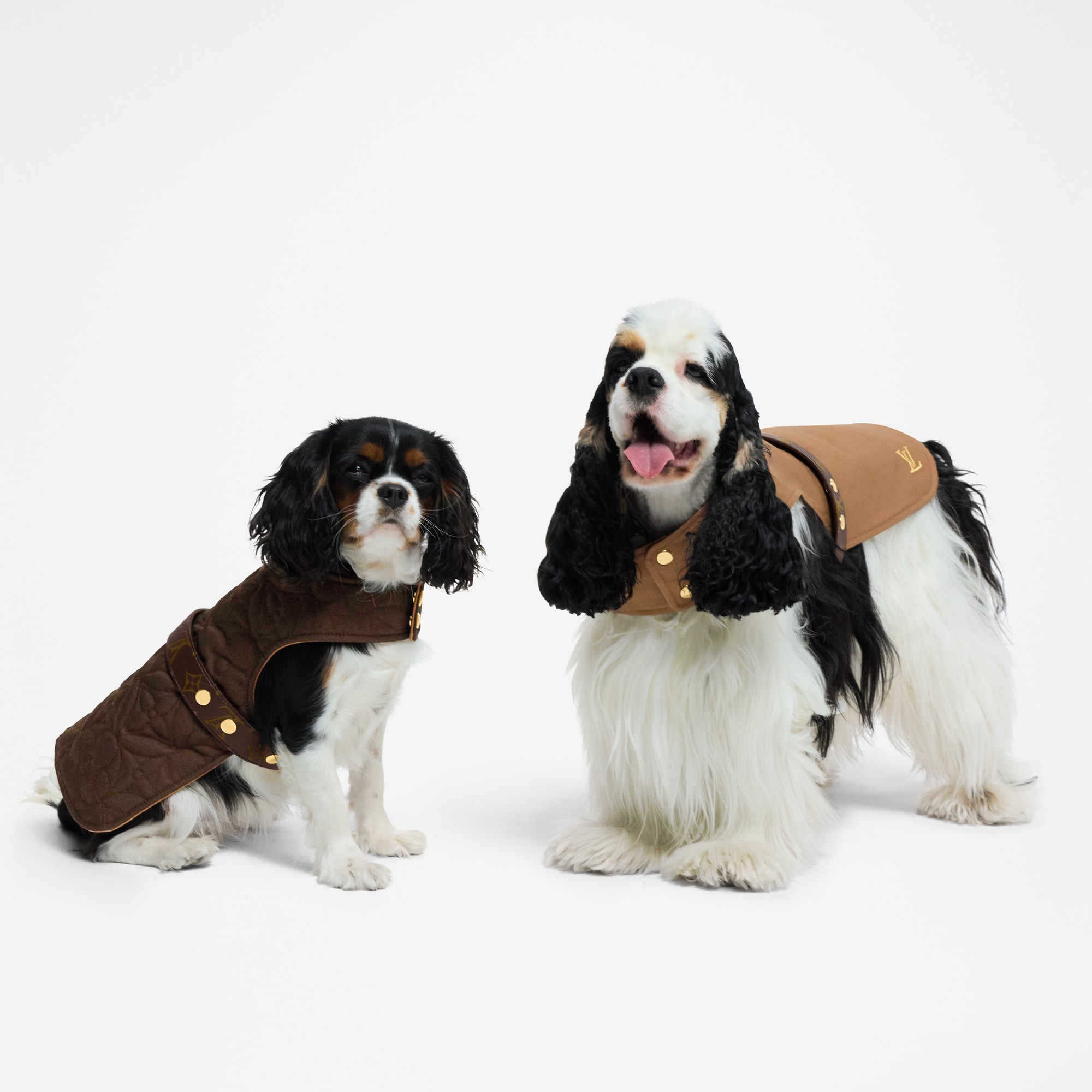 Waterproof dog coat MM Trunks, Travel and Home Pets