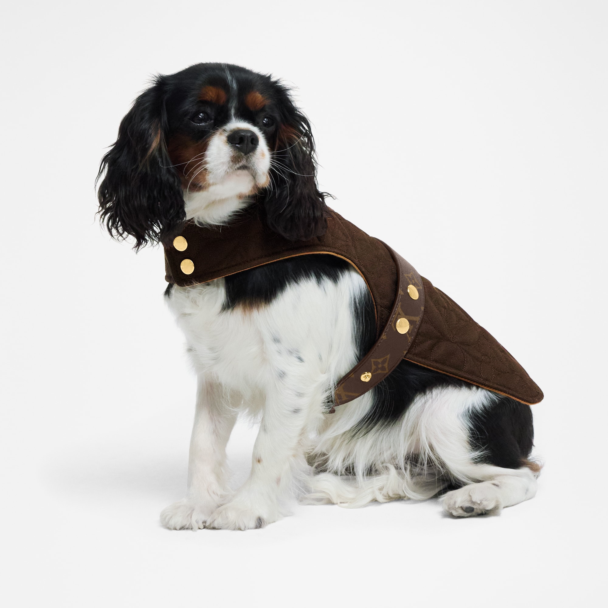  Pets Accessories } Waterproof dog coat PM | Louis Vuitton ® (Product zoom)