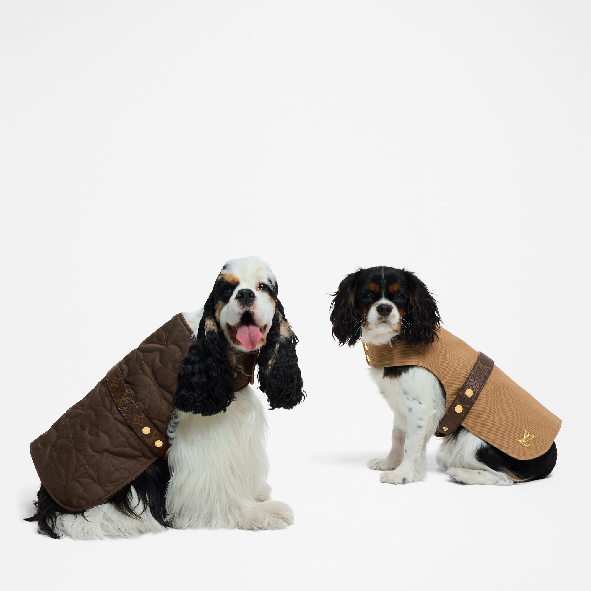  Pets Accessories } Waterproof dog coat PM | Louis Vuitton ® (Product zoom)